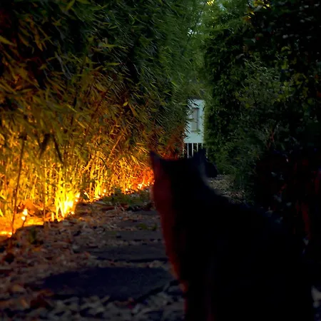 Apartman Art Farm I I Naehe Frankfurt I Messe *