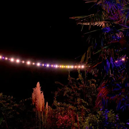 Apartman Art Farm I I Naehe Frankfurt I Messe Schoneck