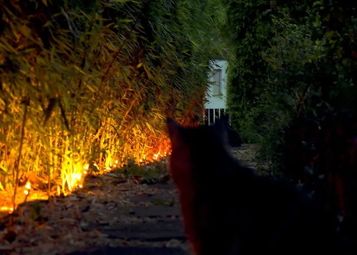 Apartment Art Farm I I Naehe Frankfurt I Messe *