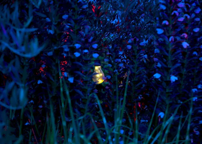 Art Farm I I Naehe Frankfurt I Messe *